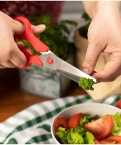 Kuhn Rikon Haushaltsschere Grün -Wesco store 211 22611 ip3 web