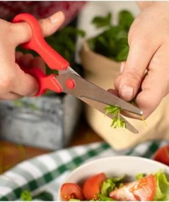 Kuhn Rikon Haushaltsschere Grün -Wesco store 211 22611 ip4 web