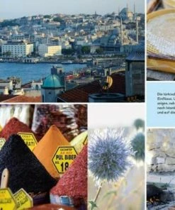 DK Verlag Güngörmüs Ali: Meine Türkische Küche -Wesco store 91G 1XBhiHL l