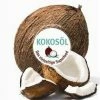 DK Verlag Oldfield Jessica: Kokosöl - Das Vielseitige Superfood -Wesco store 9783831032341