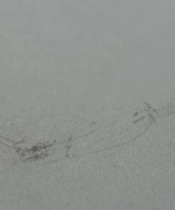 Wesco store -Wesco store DSC01693