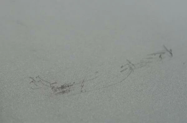 Wesco Brotkasten Grandy In Neusilber (B-Ware - Guter Zustand) 3 Wesco Brotkasten Grandy In Neusilber (B-Ware - Guter Zustand) – Bild 2