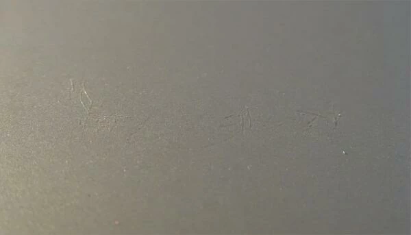 Wesco Brotkasten Grandy In Neusilber (B-Ware - Guter Zustand) 4 Wesco Brotkasten Grandy In Neusilber (B-Ware - Guter Zustand) – Bild 3