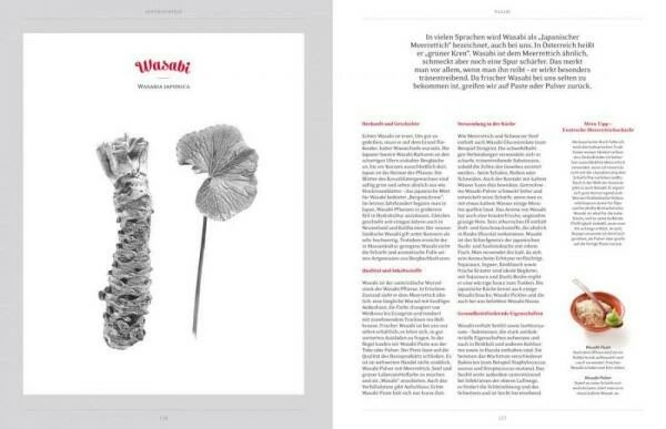 Zabert Sandmann Verlag Schuhbeck, Alfons: Schuhbecks Welt Der Kräuter Und Gewürze 5 Zabert Sandmann Verlag Schuhbeck, Alfons: Schuhbecks Welt Der Kräuter Und Gewürze – Bild 3