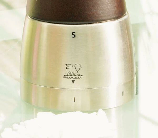 PEUGEOT Salzmühle Daman U′Select In Schokolade 21 Cm 8 PEUGEOT Salzmühle Daman U′Select In Schokolade 21 Cm – Bild 6