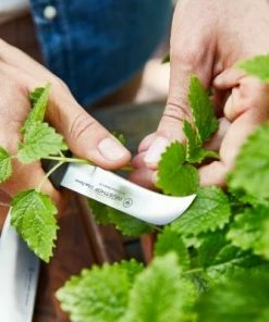 Wüsthof Machete Urban Farmer 11 Wüsthof Machete Urban Farmer -Wesco store Wuesthof Urban Farmer 01