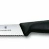 Victorinox Swiss Classic Steakmesser